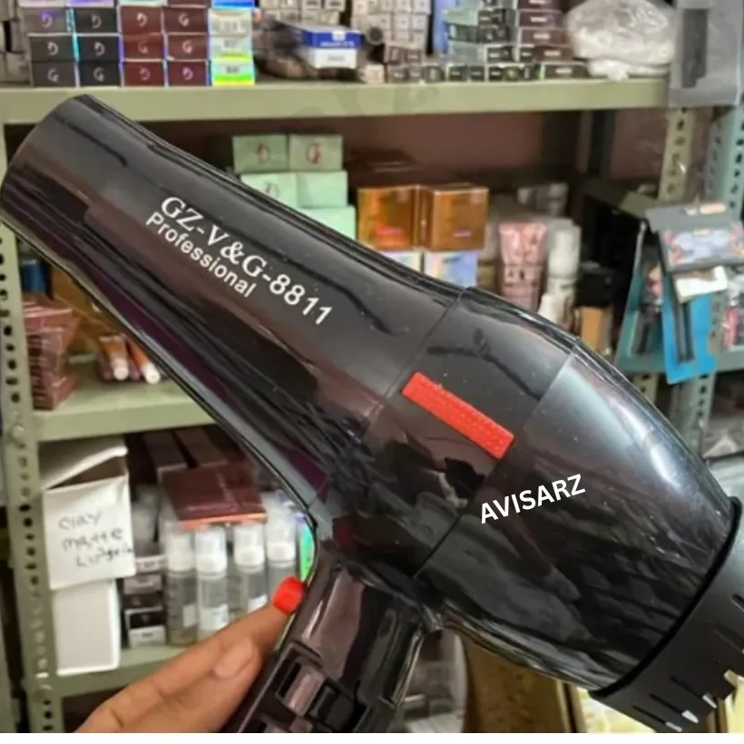 V&G HAIR DRYER (MATRIX) - 8811